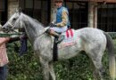 Hit Show Puts Brad Cox Barn At The Top Of Kenneland Charts For 2025