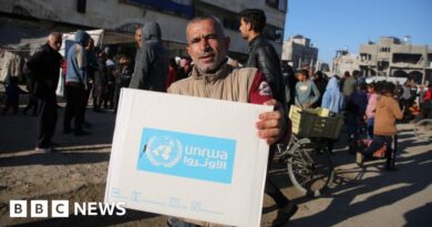 ICJ says Israel must allow UN aid deliveries to Gaza to meet basic needs