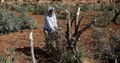 In the occupied West Bank, the war continues