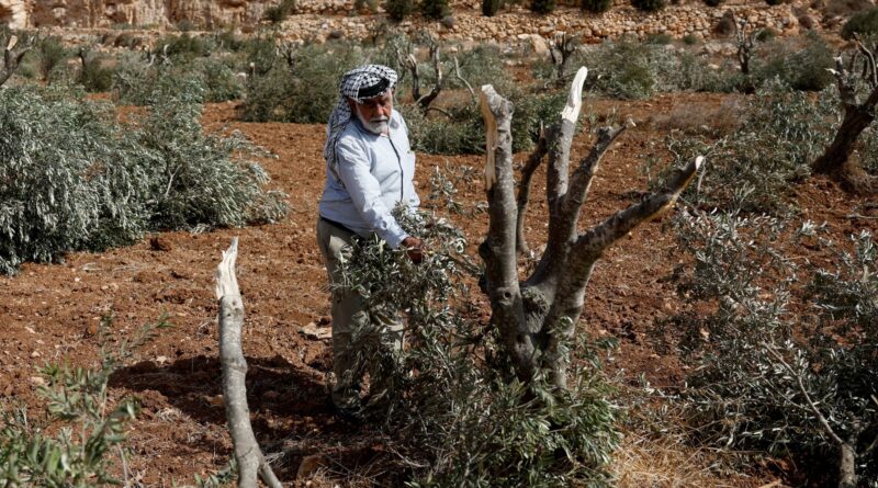 In the occupied West Bank, the war continues