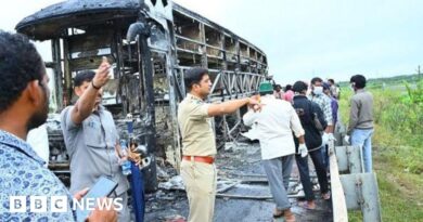 India bus fire: Hundreds of smartphones intensified blaze - reports