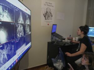 Israel intercepts Gaza Sumud flotilla vessels: What we know so far