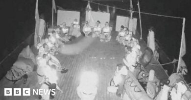 Israeli naval ships intercept Gaza-bound flotilla