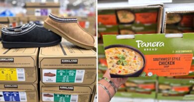 I've worked at Costco for 20 years. Here are 9 of the best things I'm seeing on shelves right now.