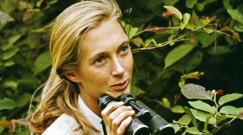 Jane Goodall Taught The World Empathy, Here Are 3 Things Business Leaders Can Learn