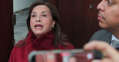 Judge denies bid to block former President Dina Boluarte from leaving Peru