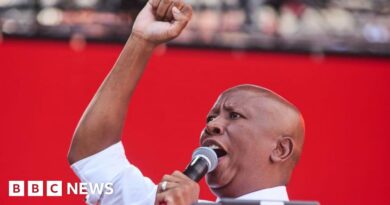 Julius Malema: South African firebrand MP convicted of firing a gun in public