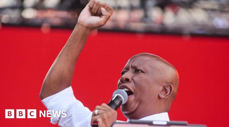 Julius Malema: South African firebrand MP convicted of firing a gun in public