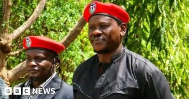 Kenyan activists abducted in Uganda, Bobi Wine says