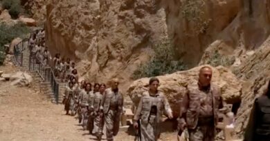 Kurdish PKK announces it is withdrawing fighters from Turkiye to Iraq
