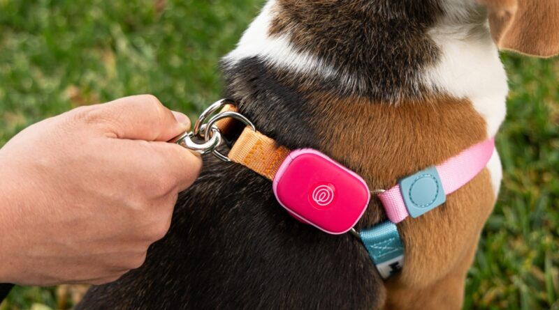 Life360 ventures into pet tech with the launch of a new GPS tracker | TechCrunch