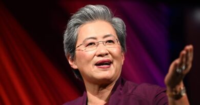 Lisa Su has built AMD into a $378 billion microchip titan. So why isn't she richer?