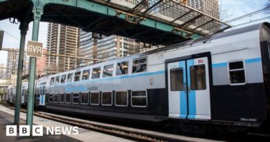 Man arrested after viral video of alleged attempted rape on Paris train