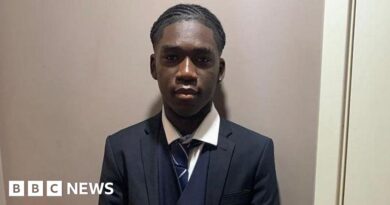 Marcus Fakana: Teen jailed in Dubai dies in London police chase
