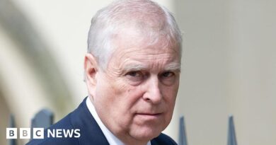 Met Police to look into claims Prince Andrew sought information on accuser