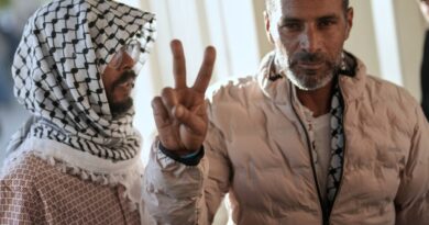 More Gaza flotilla activists allege mistreatment in Israeli detention