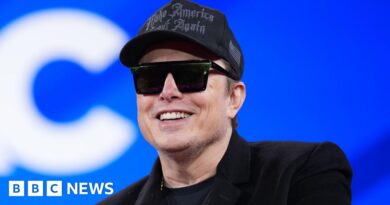 Musk becomes first person ever to see wealth top $500bn