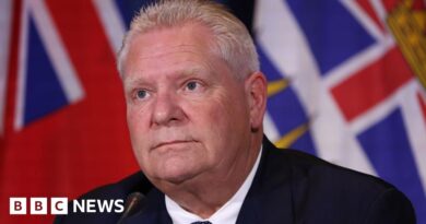 Ontario premier says he will pause anti-tariff ad that angered Trump