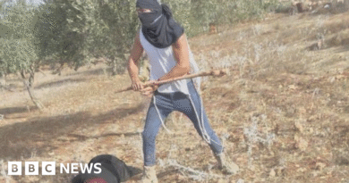 Palestinian woman in hospital after being clubbed by masked Israeli settler