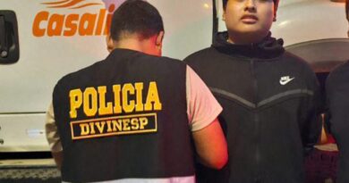 Peruvian police arrest suspects over livestreamed femicide in Argentina