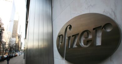 Pfizer strikes deal with Trump administration to cut US drug prices