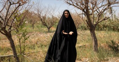 Photos: Water salinity hurting farmers, livestock in Iraq
