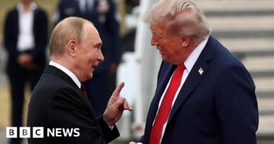 Plans for Trump-Putin meeting shelved days after Budapest talks proposed