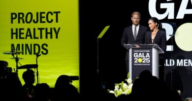 Prince Harry and Meghan call out the harmful effects of social media on today's youth | TechCrunch