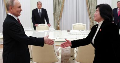 Putin meets top North Korean diplomat, says ties developing as planned