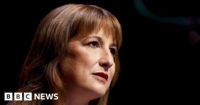 Rachel Reeves should avoid 'half-baked' tax fixes in Budget, says IFS