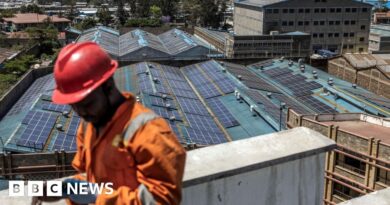 Renewables overtake coal as world's biggest source of electricity