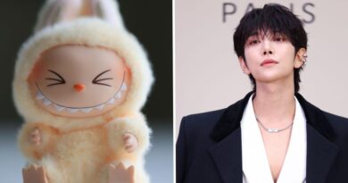Seventeen's Joshua, a onetime Labubu fanboy, explains why he's done collecting the dolls