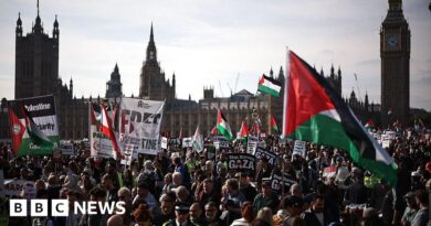 Tens of thousands attend pro-Palestinian march in London