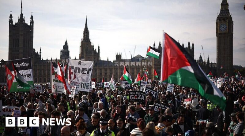 Tens of thousands attend pro-Palestinian march in London