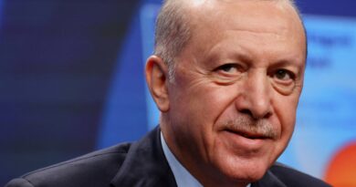 Terror-free Turkiye: A homegrown peace reshaping the region