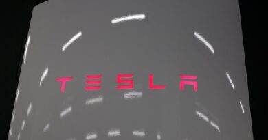 Tesla unveils new lower-cost Model Y amid rising competition