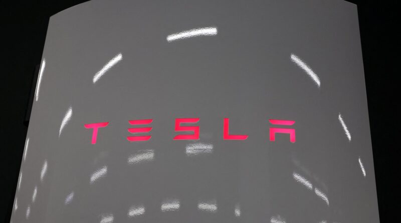 Tesla unveils new lower-cost Model Y amid rising competition