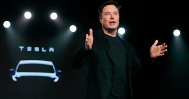 Tesla's chair warns shareholders: Give Elon Musk his $1 trillion pay package, or lose him