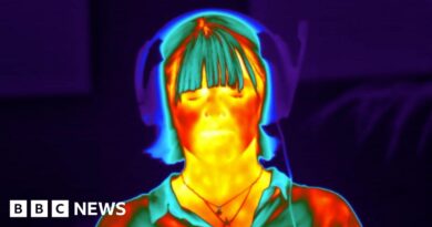 Thermal cameras read stress on my face