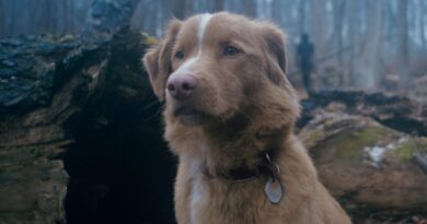 This horror movie starring a dog has the most heartfelt ending of the year