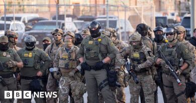 Trump authorises National Guard deployment to Chicago