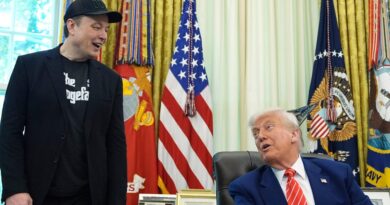 Trump gives a status update on his relationship with Elon Musk