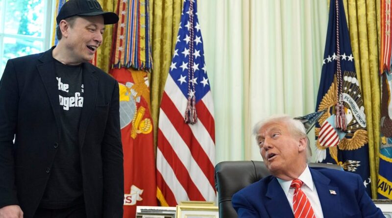 Trump gives a status update on his relationship with Elon Musk