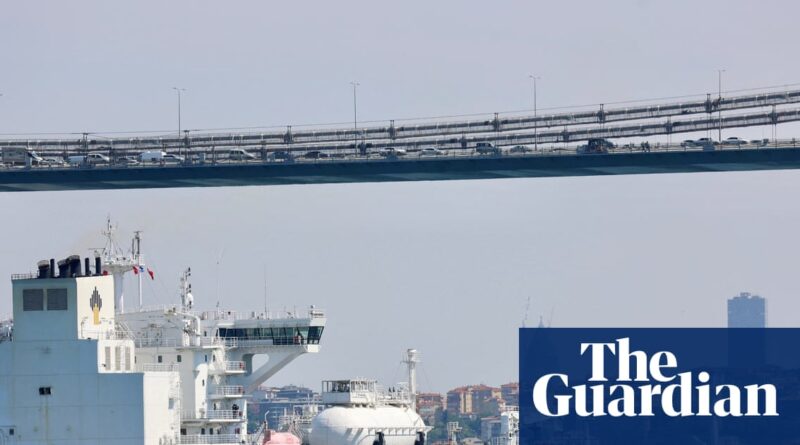 Trump sanctions have swift impact but will world stop buying Russian oil and gas?