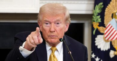 Trump says he's adding another 10% tariff on Canada in retaliation for its Reagan ad