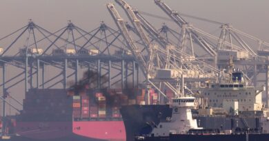 Trump torpedoes international deal to reduce shipping emissions