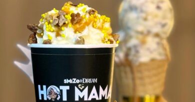 Tyra Banks says she's bringing her mysterious 'hot' ice cream to New York. But, like, what is it exactly?