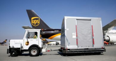 UPS is telling customers that their packages coming to the US are marked for destruction
