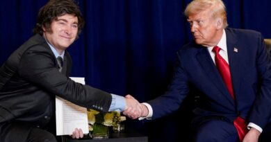 US buys Argentinian pesos, finalises $20bn currency swap, says US Treasury