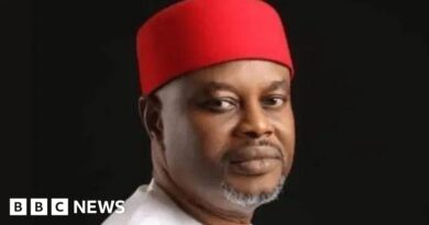 Uche Nnaji: Nigerian minister accused of forging certificate resigns